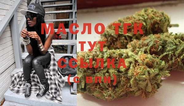 индика Осташков