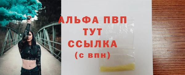 2c-b Пересвет