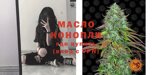 индика Осташков