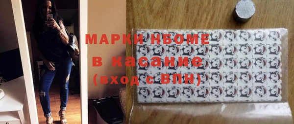 индика Осташков
