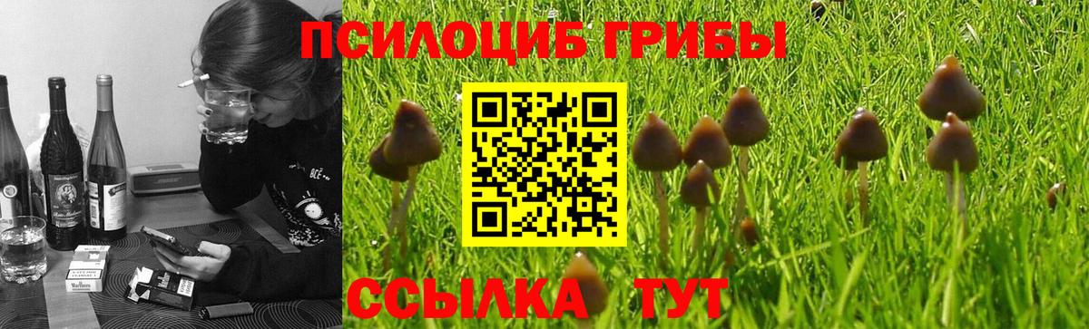 Галлюциногенные грибы Cubensis Печора